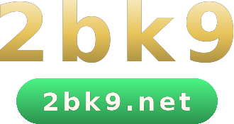 2bk9 logo